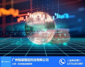 数据驱动未来 珠海智能数据与链基智能在人工智能领域的创新服务